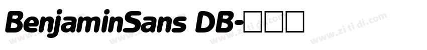 BenjaminSans DB字体转换